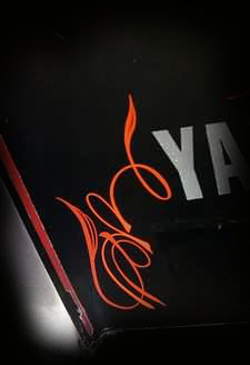 STRIPING on SNOWMOBILE