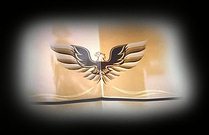 HOOD of '79 FIREBIRD